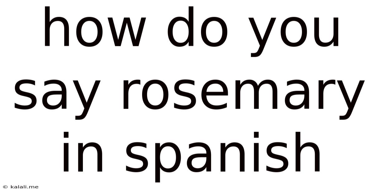 How Do You Say Rosemary In Spanish