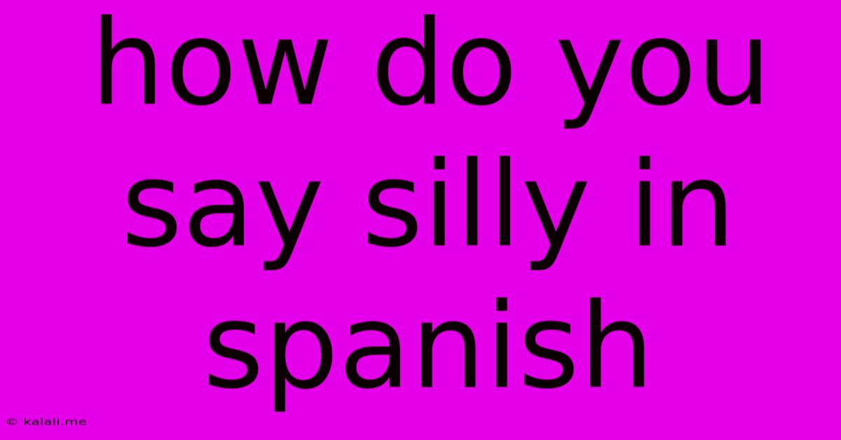 How Do You Say Silly In Spanish
