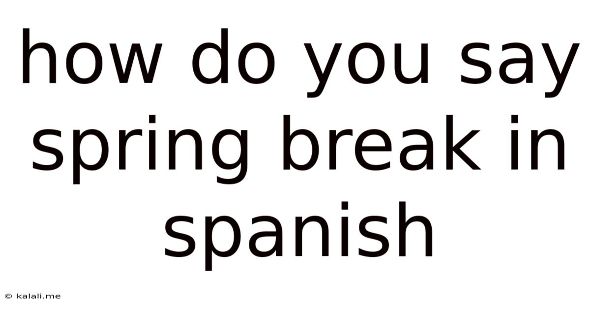 How Do You Say Spring Break In Spanish