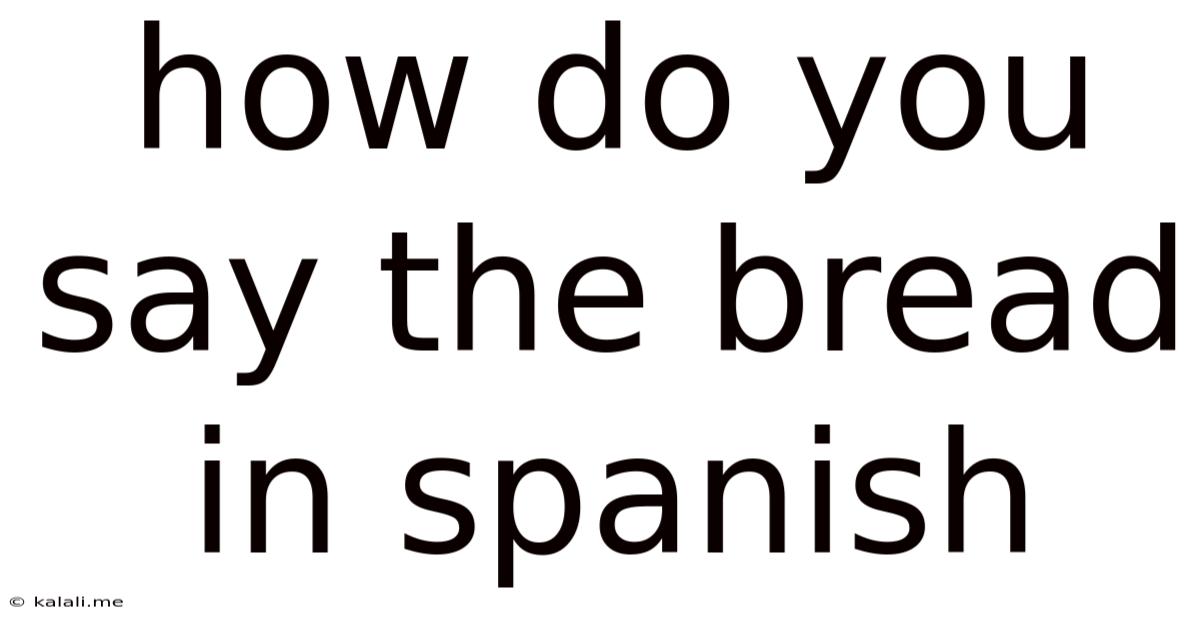 How Do You Say The Bread In Spanish