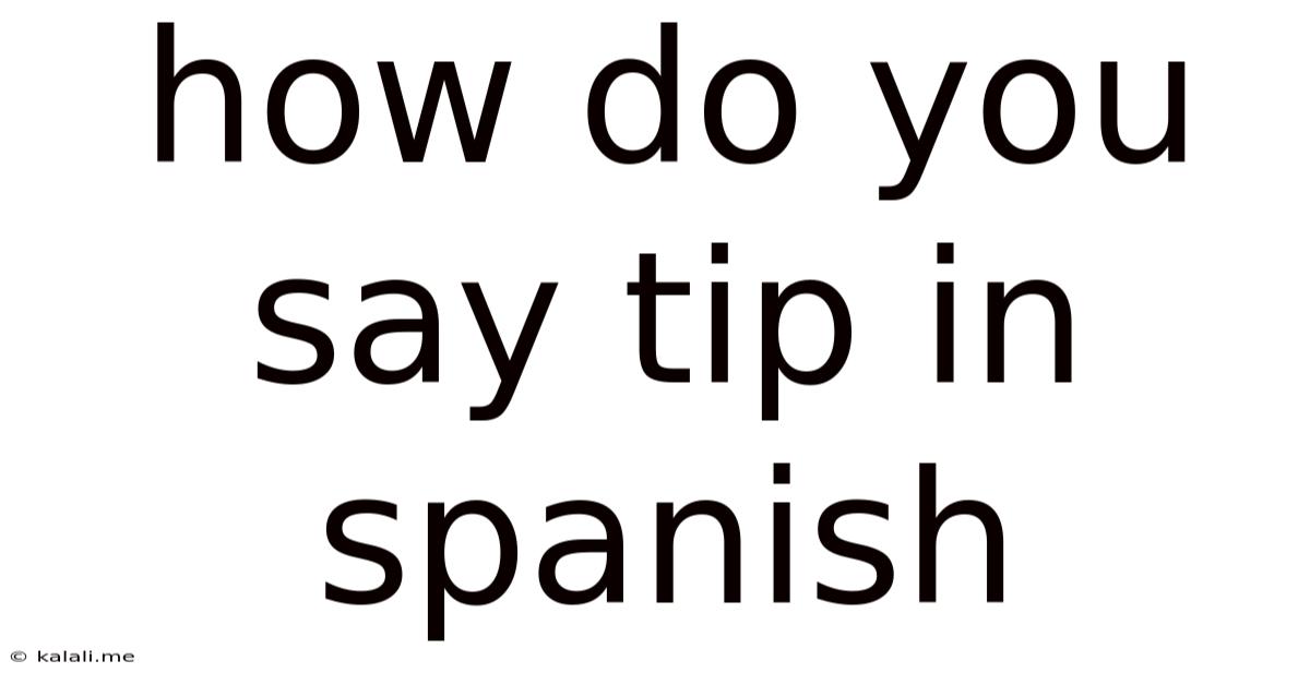How Do You Say Tip In Spanish