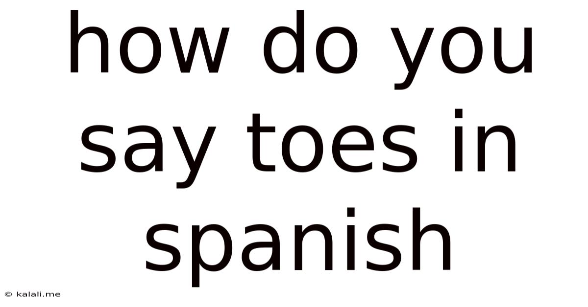 How Do You Say Toes In Spanish
