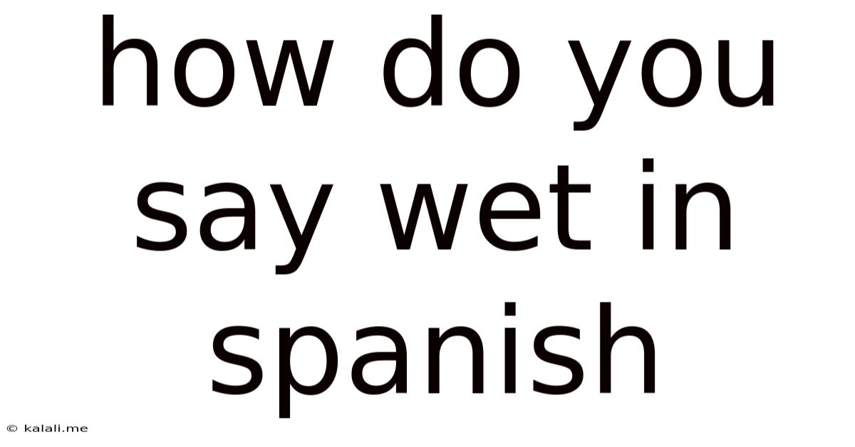 How Do You Say Wet In Spanish
