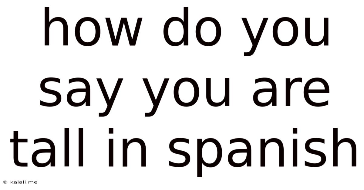 How Do You Say You Are Tall In Spanish