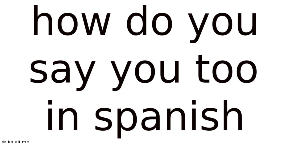 How Do You Say You Too In Spanish