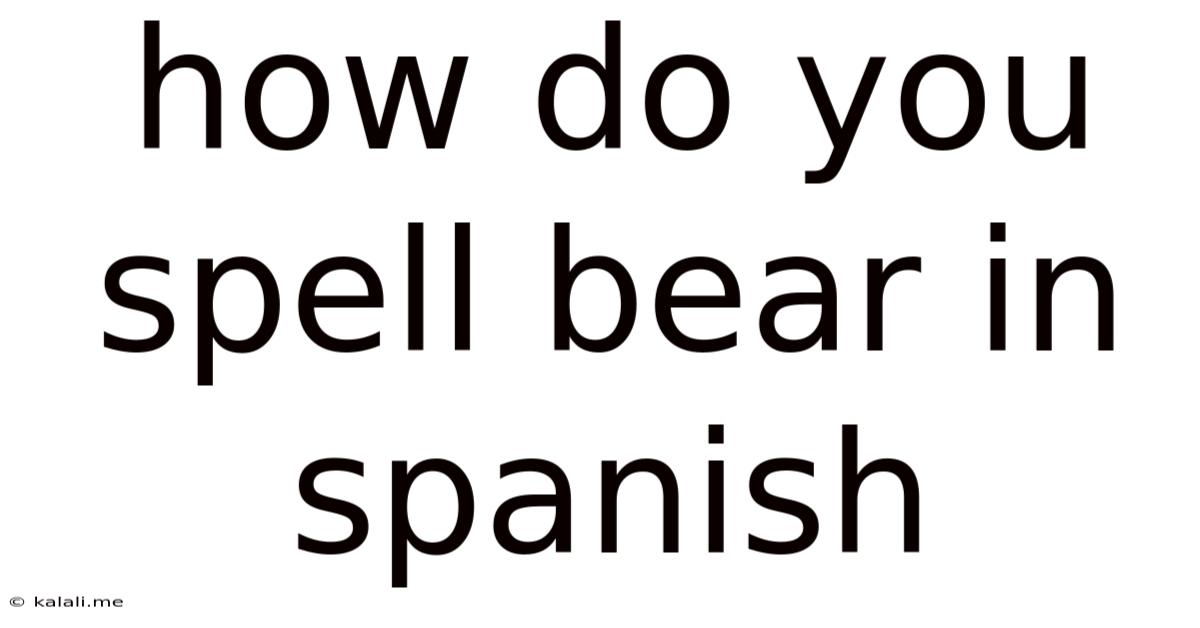 How Do You Spell Bear In Spanish