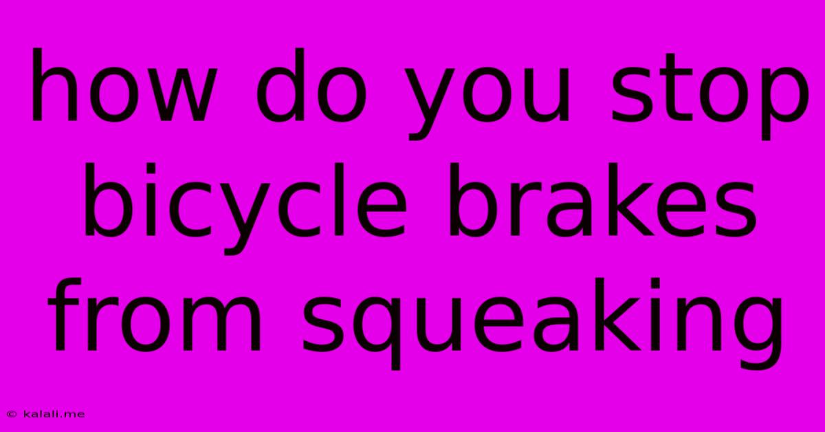 How Do You Stop Bicycle Brakes From Squeaking