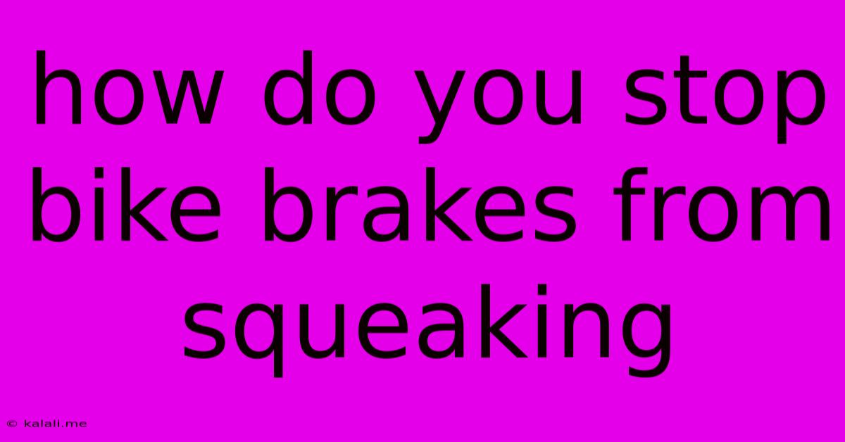 How Do You Stop Bike Brakes From Squeaking