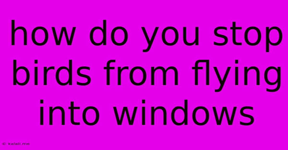 How Do You Stop Birds From Flying Into Windows