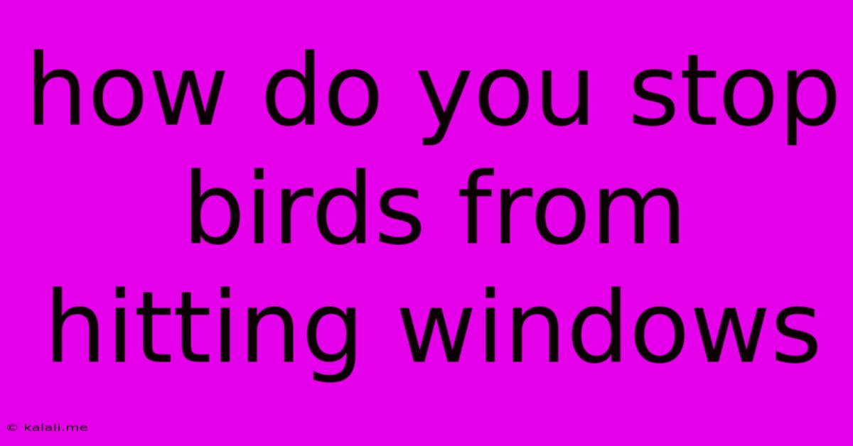How Do You Stop Birds From Hitting Windows