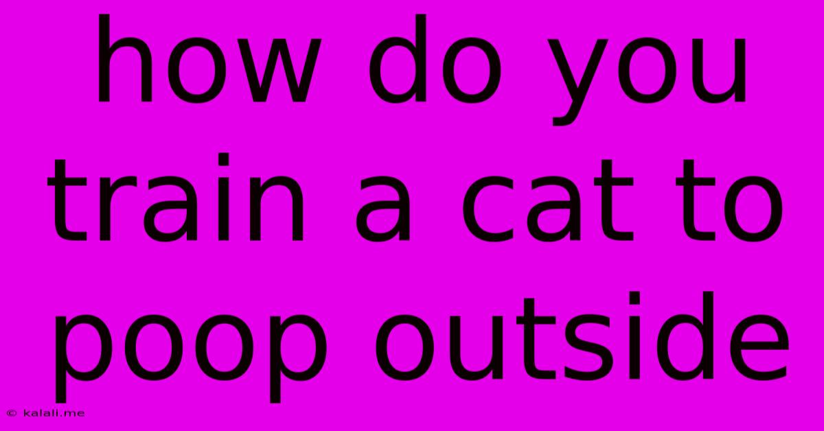 How Do You Train A Cat To Poop Outside