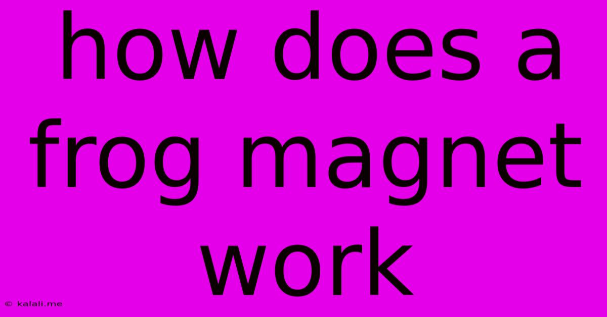 How Does A Frog Magnet Work
