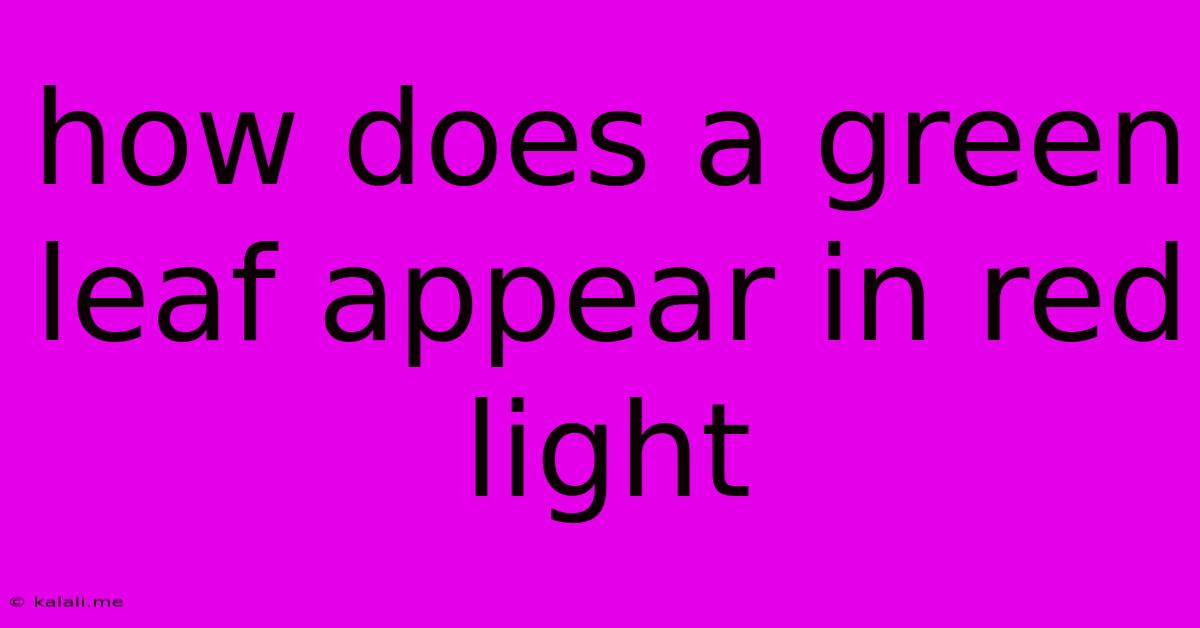 How Does A Green Leaf Appear In Red Light