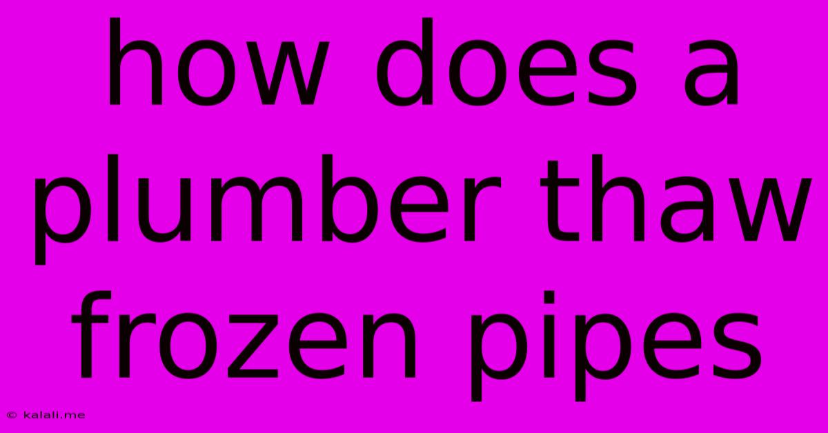 How Does A Plumber Thaw Frozen Pipes