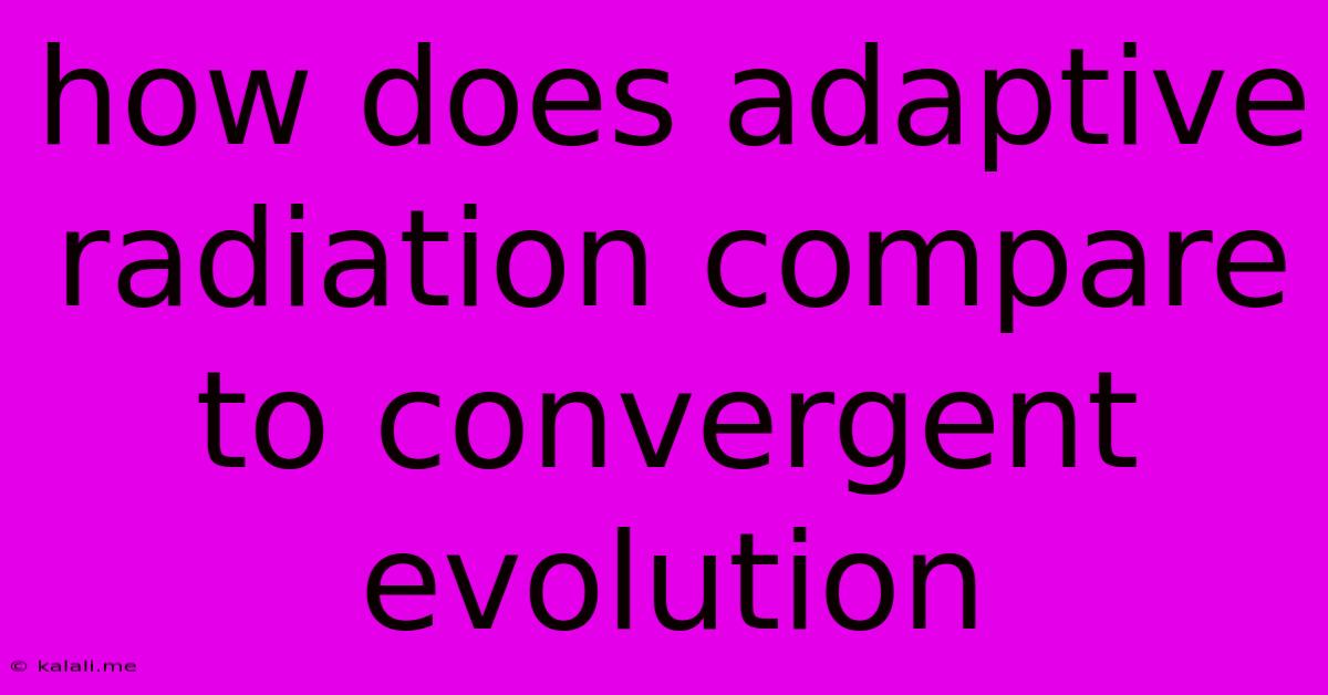 How Does Adaptive Radiation Compare To Convergent Evolution