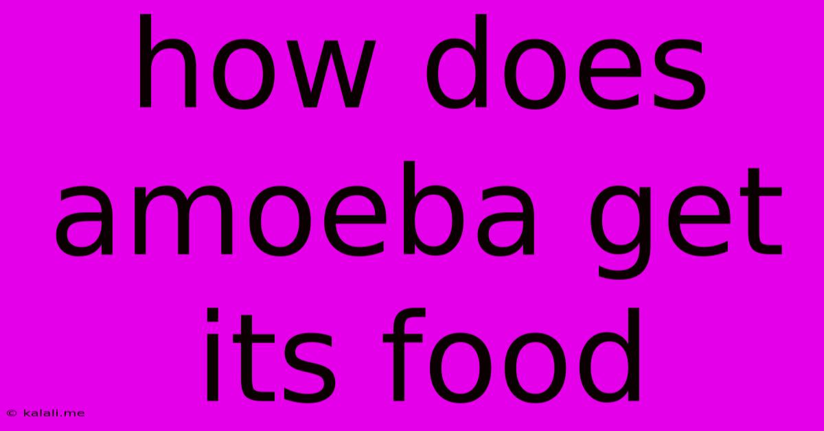 How Does Amoeba Get Its Food