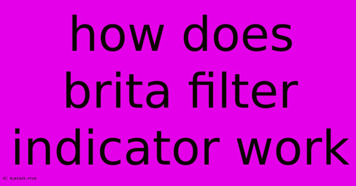 How Does Brita Filter Indicator Work