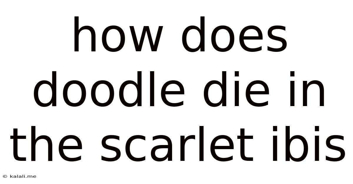 How Does Doodle Die In The Scarlet Ibis