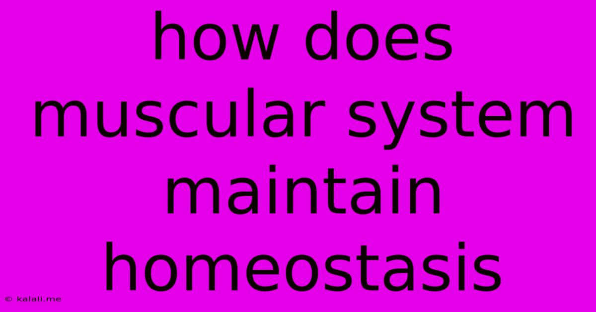 How Does Muscular System Maintain Homeostasis