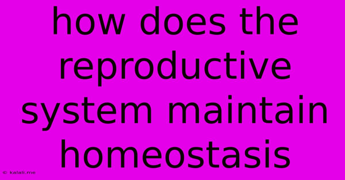 How Does The Reproductive System Maintain Homeostasis