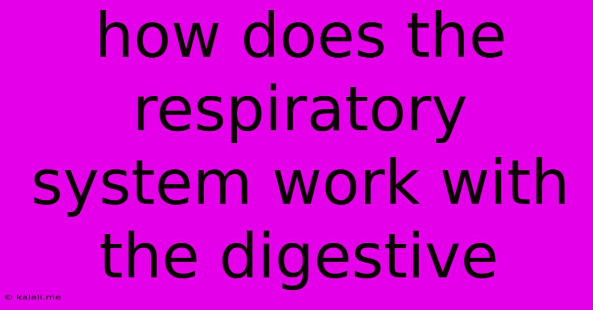 How Does The Respiratory System Work With The Digestive