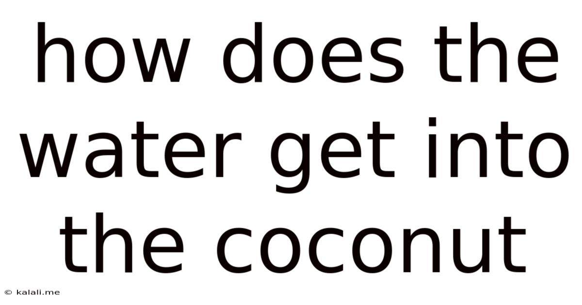 How Does The Water Get Into The Coconut