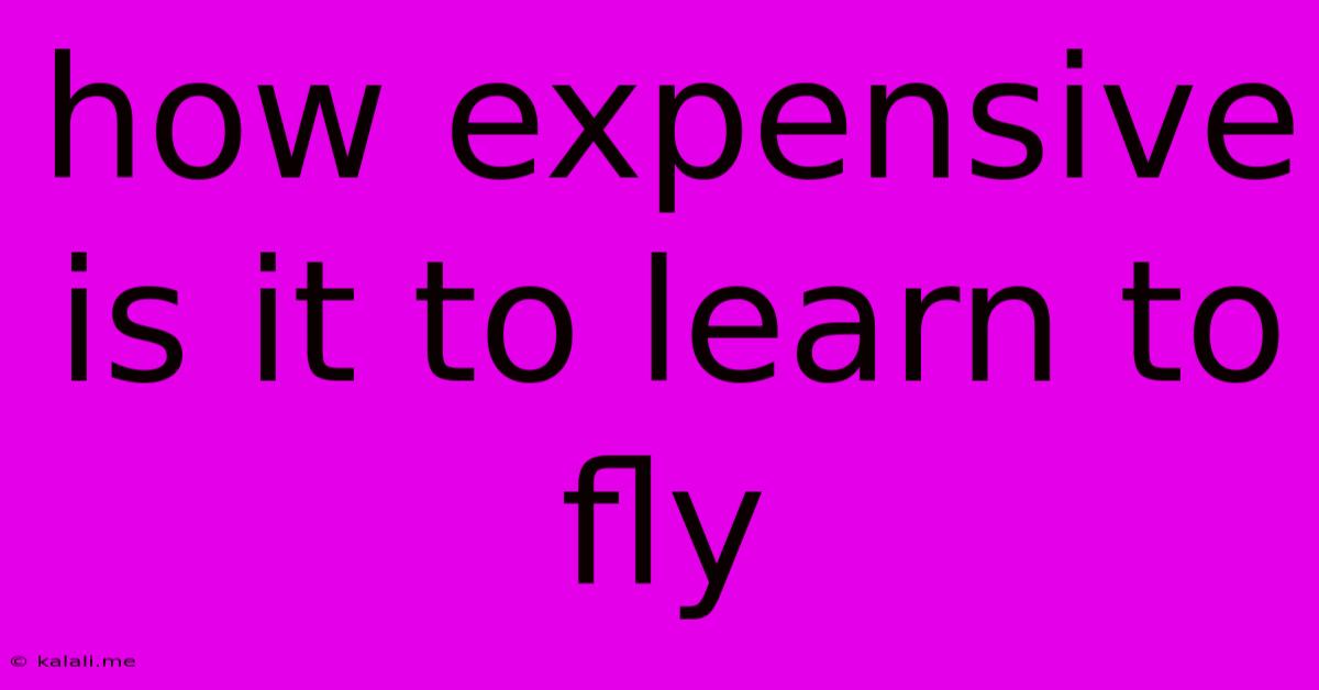 How Expensive Is It To Learn To Fly
