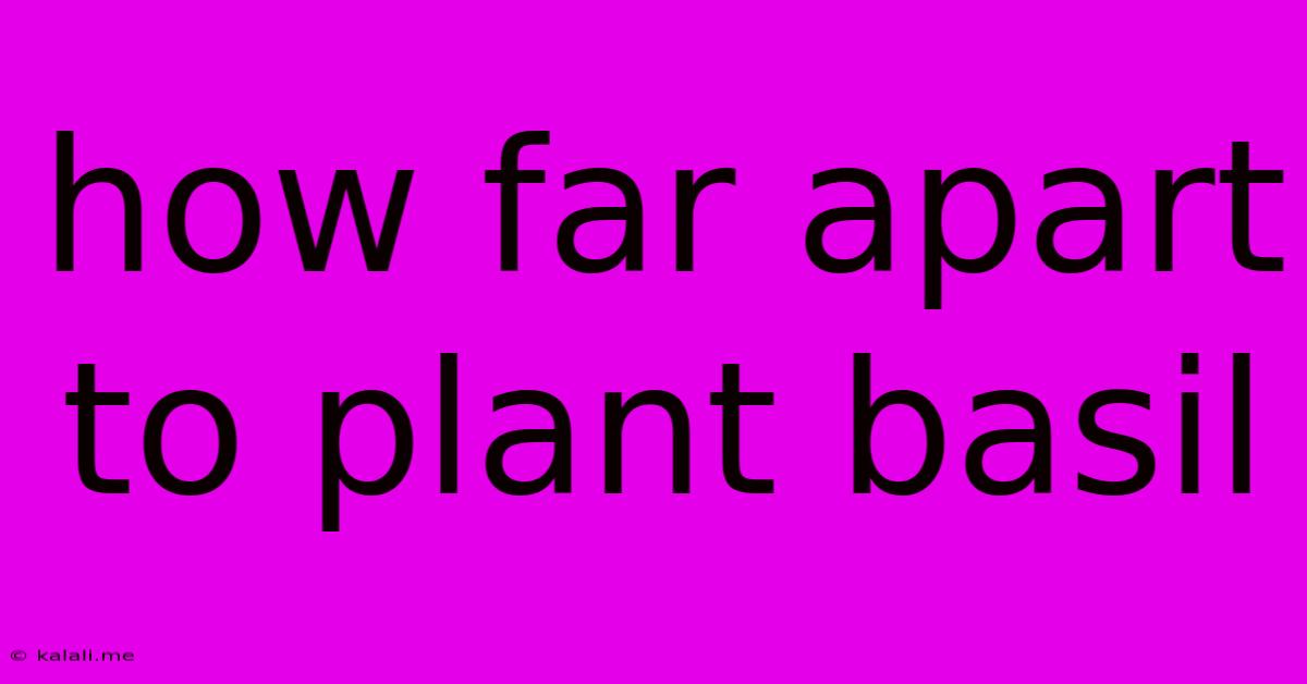 How Far Apart To Plant Basil