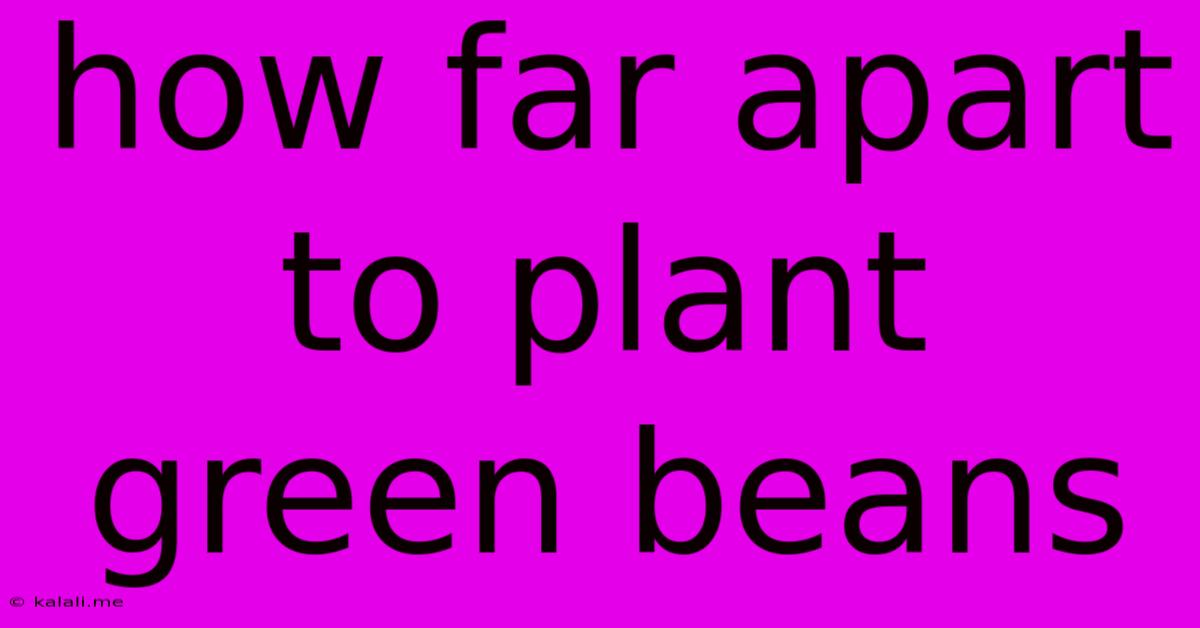 How Far Apart To Plant Green Beans