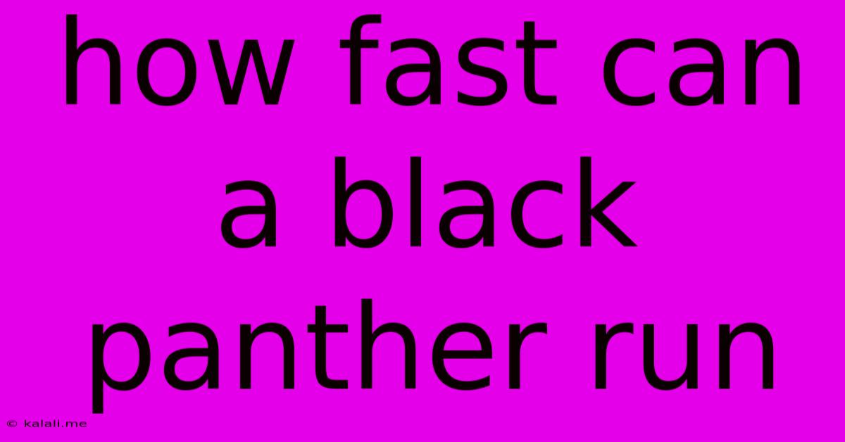 How Fast Can A Black Panther Run