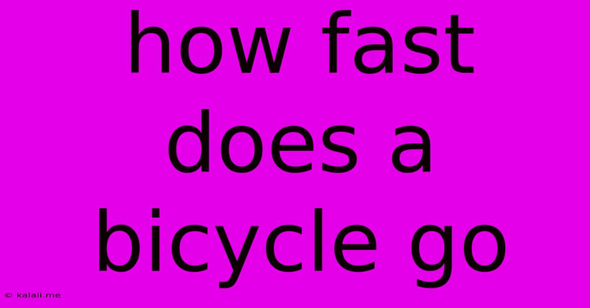 How Fast Does A Bicycle Go