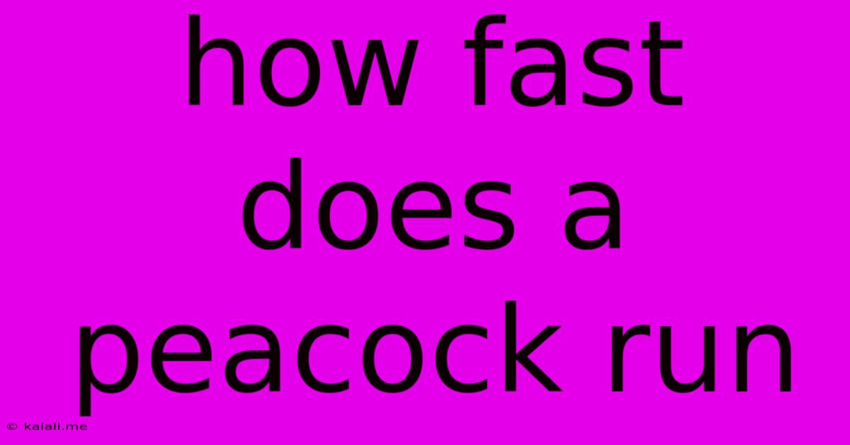 How Fast Does A Peacock Run