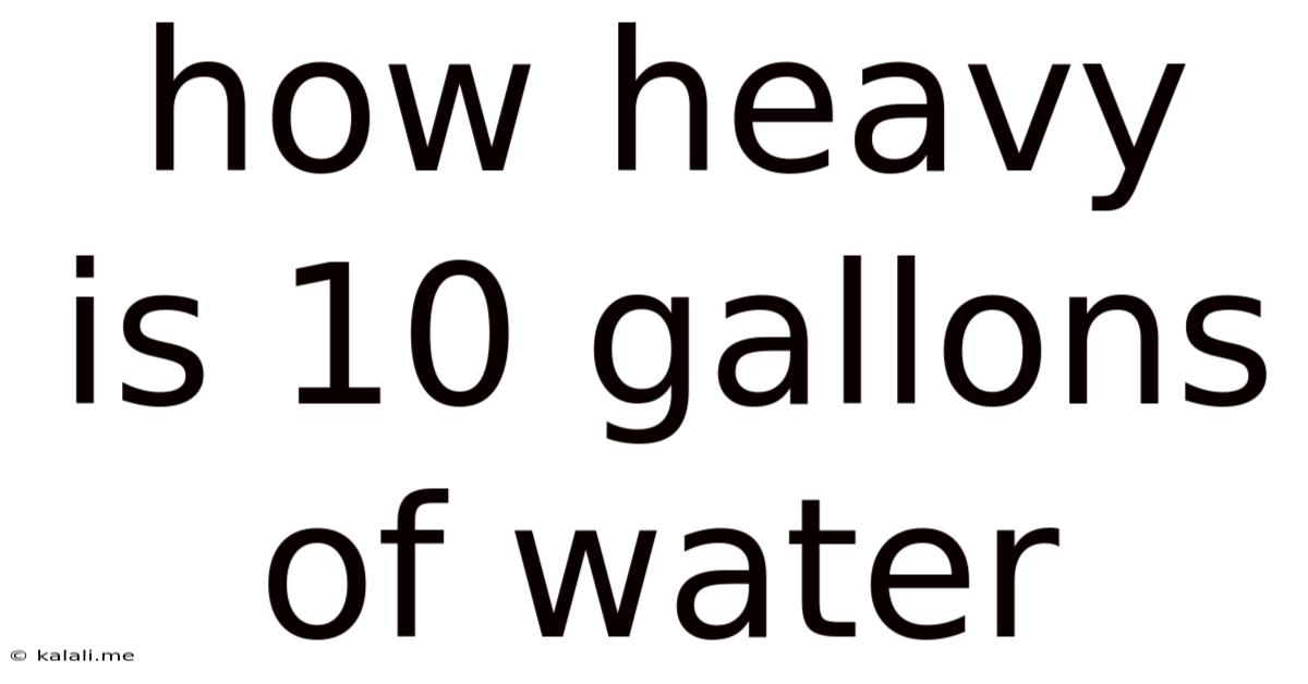 How Heavy Is 10 Gallons Of Water