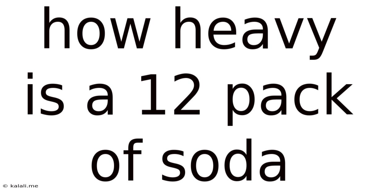 How Heavy Is A 12 Pack Of Soda