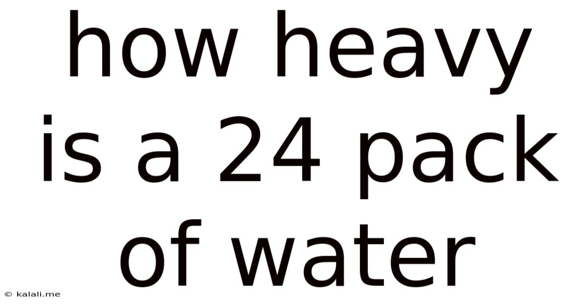 How Heavy Is A 24 Pack Of Water