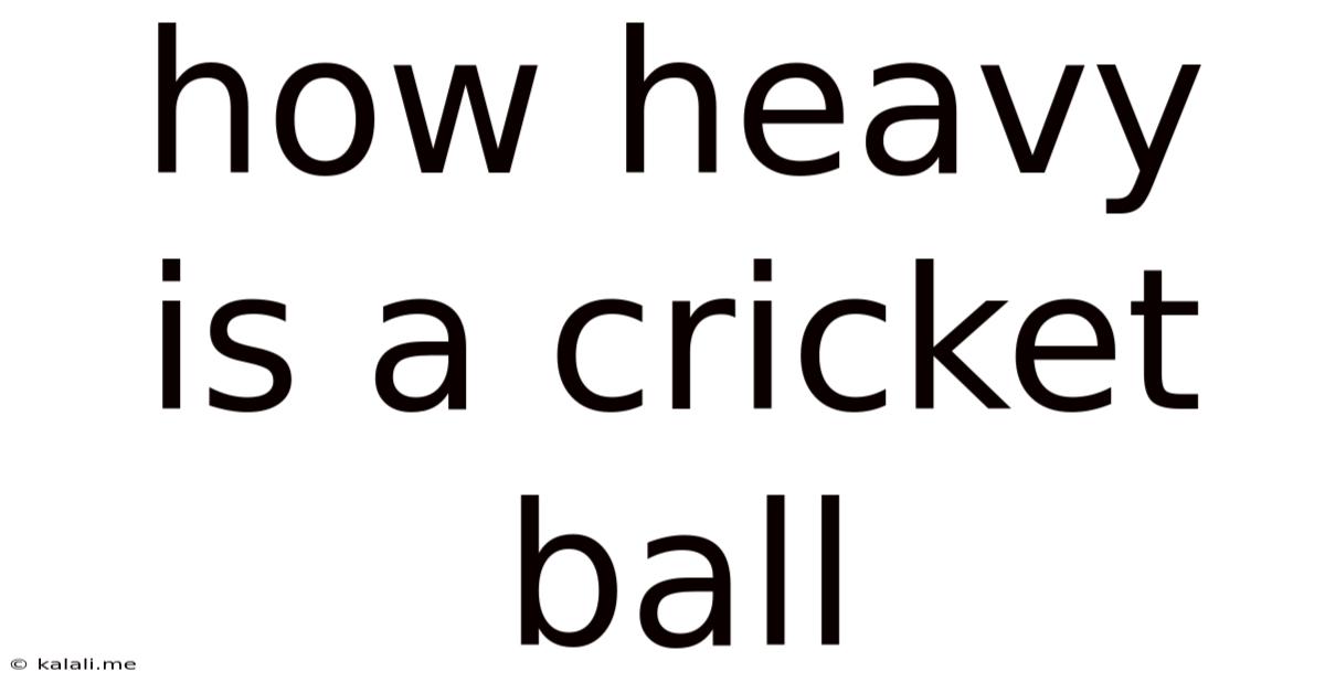 How Heavy Is A Cricket Ball