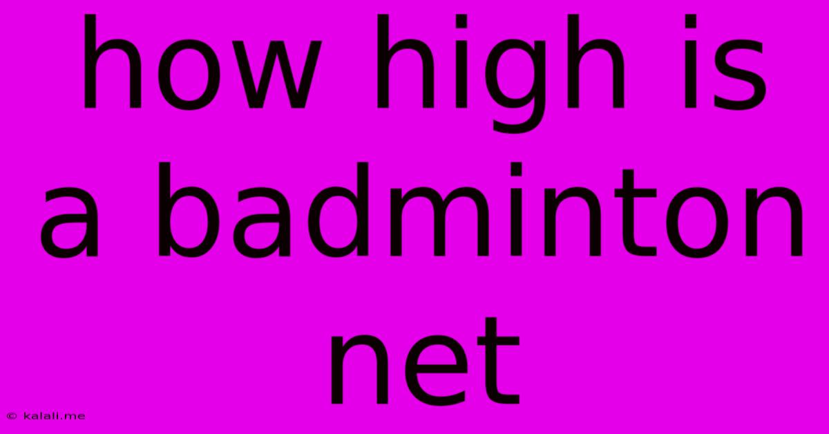 How High Is A Badminton Net