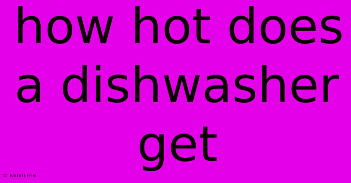 How Hot Does A Dishwasher Get