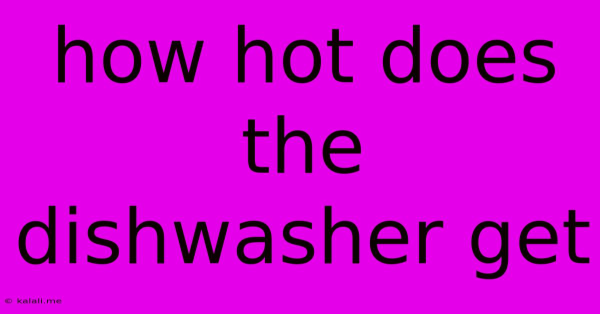 How Hot Does The Dishwasher Get