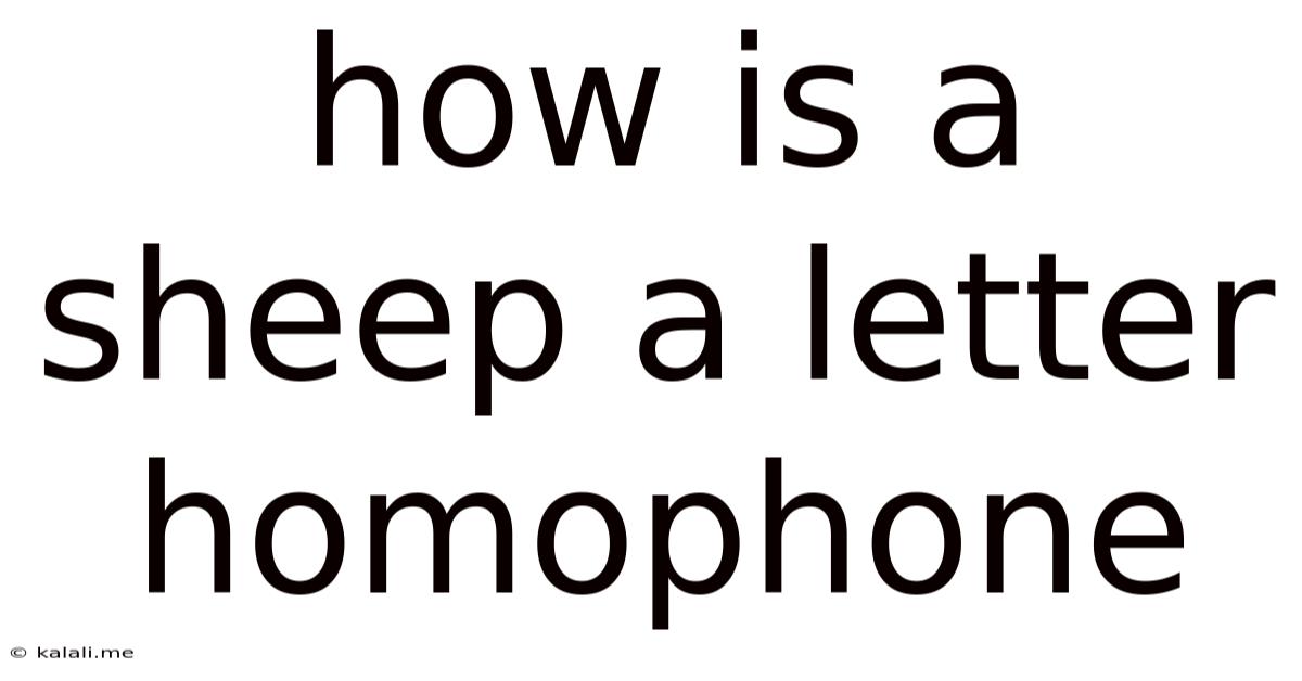 How Is A Sheep A Letter Homophone