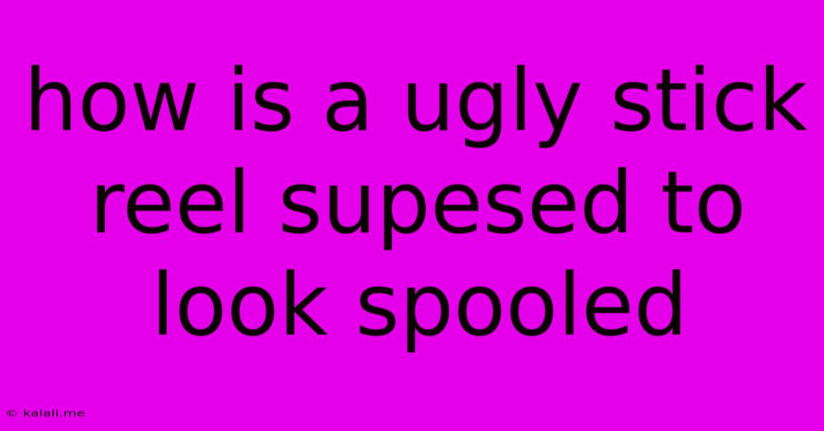 How Is A Ugly Stick Reel Supesed To Look Spooled