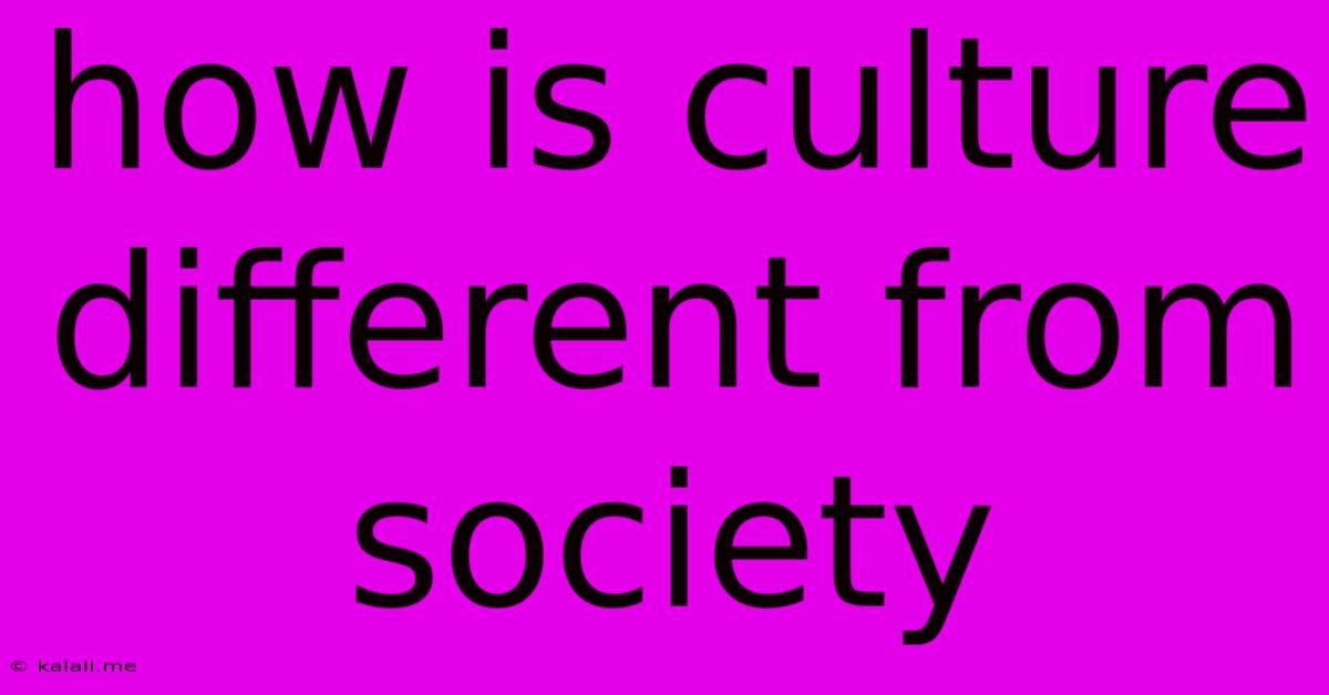 How Is Culture Different From Society
