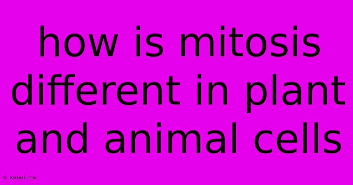 How Is Mitosis Different In Plant And Animal Cells