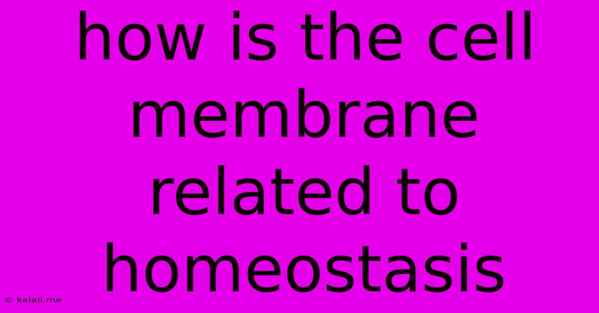 How Is The Cell Membrane Related To Homeostasis