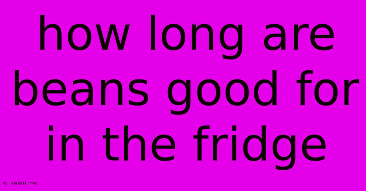 How Long Are Beans Good For In The Fridge