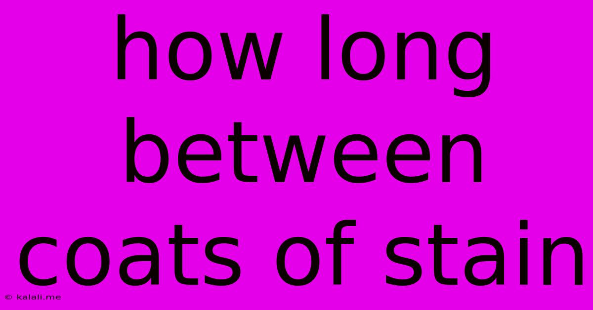 How Long Between Coats Of Stain