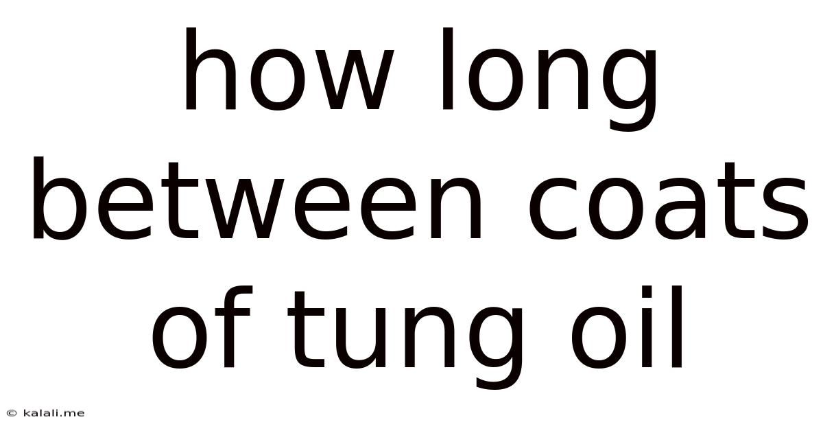 How Long Between Coats Of Tung Oil