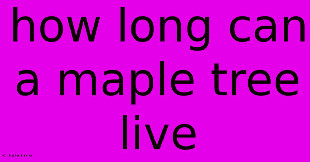How Long Can A Maple Tree Live