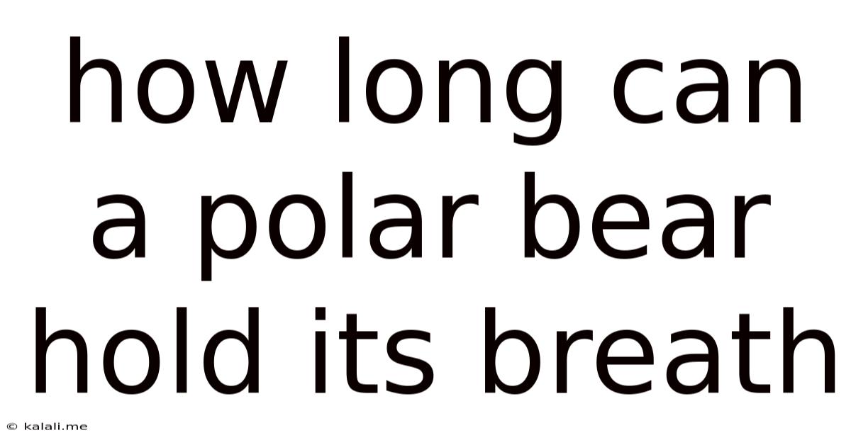 How Long Can A Polar Bear Hold Its Breath