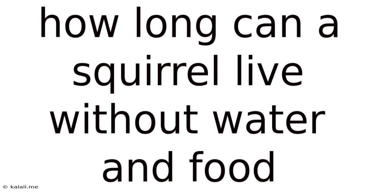 How Long Can A Squirrel Live Without Water And Food